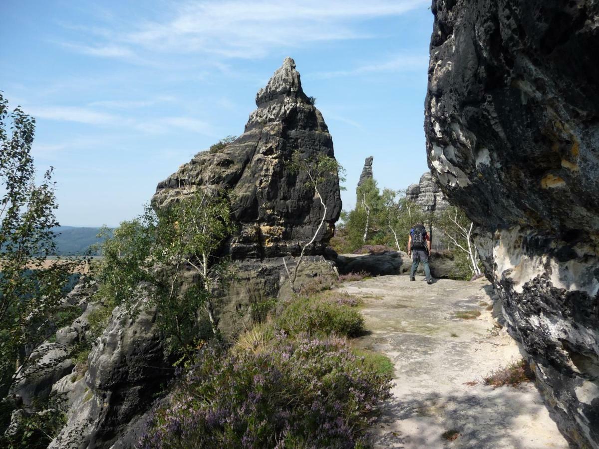 Mittelndorf Pension Am Weinberg Saechsische Schweiz المظهر الخارجي الصورة