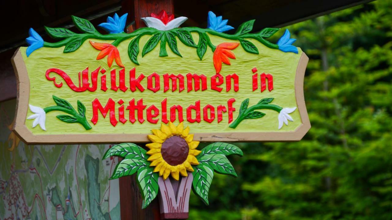 Mittelndorf Pension Am Weinberg Saechsische Schweiz المظهر الخارجي الصورة